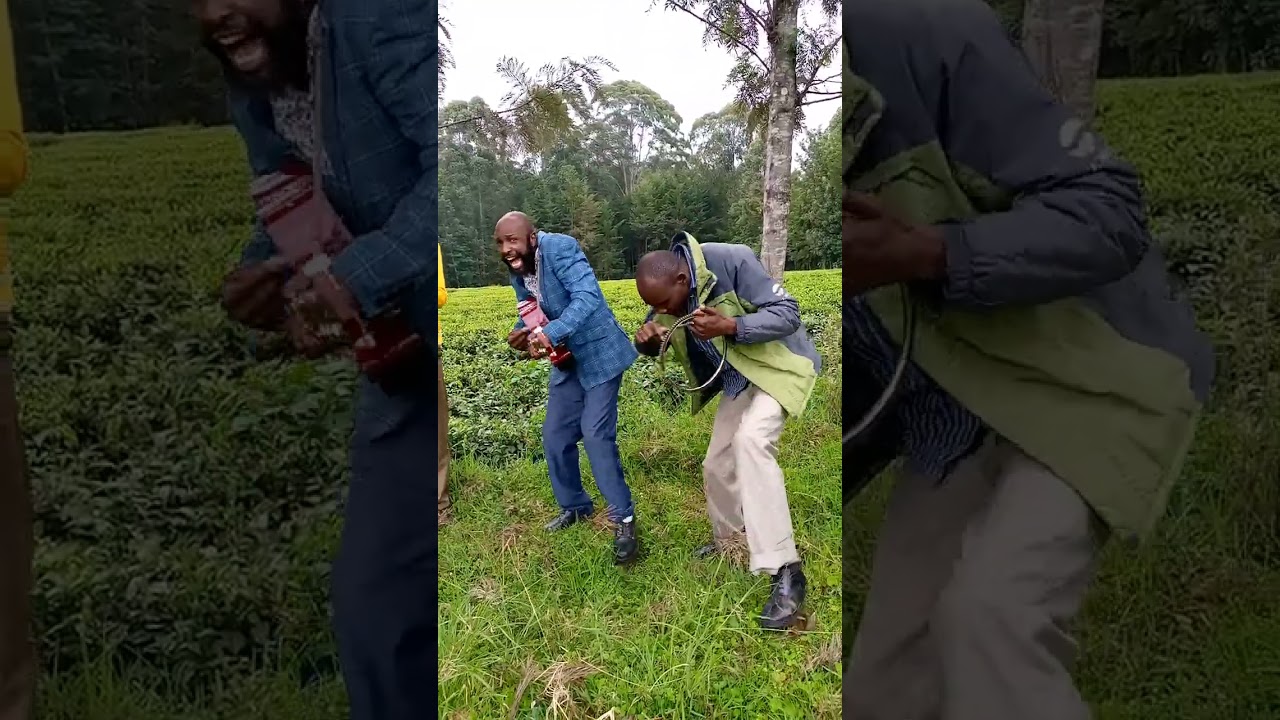 Kimoso participating at home