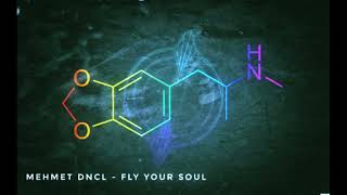 MEHMET DNCL - FLY YOUR SOUL Resimi