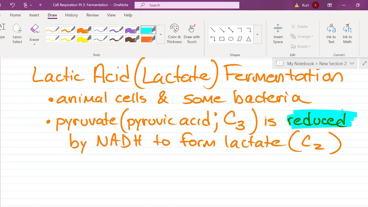 AP Biology Unit 3 - Lesson 22: Fermentation - YouTube