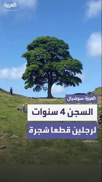    4       
 - نشر قبل 10 دقيقة