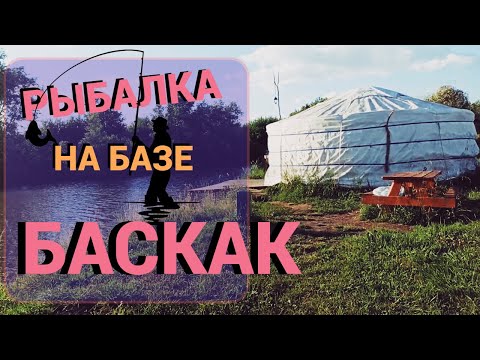 Платная Рыбалка На Базе Баскак Подмосковье