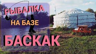 Платная рыбалка на базе БАСКАК Подмосковье