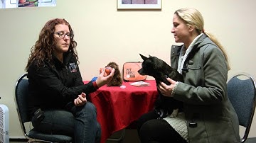 Tip Tuesday: Ingestion of a Foreign Object