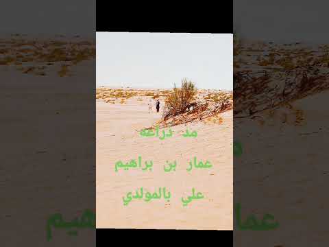 مدح غريب عمار بن براهيم علي بالمولدي مد ذراعه علال