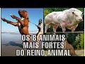 AS 8 ESPÉCIES MAIS FORTES DO REINO ANIMAL - VOCÊ DEVERIA SABER #wildlife #documentario #animais