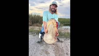 Hunting a Monster Trophy Alligator in the Florida Everglades