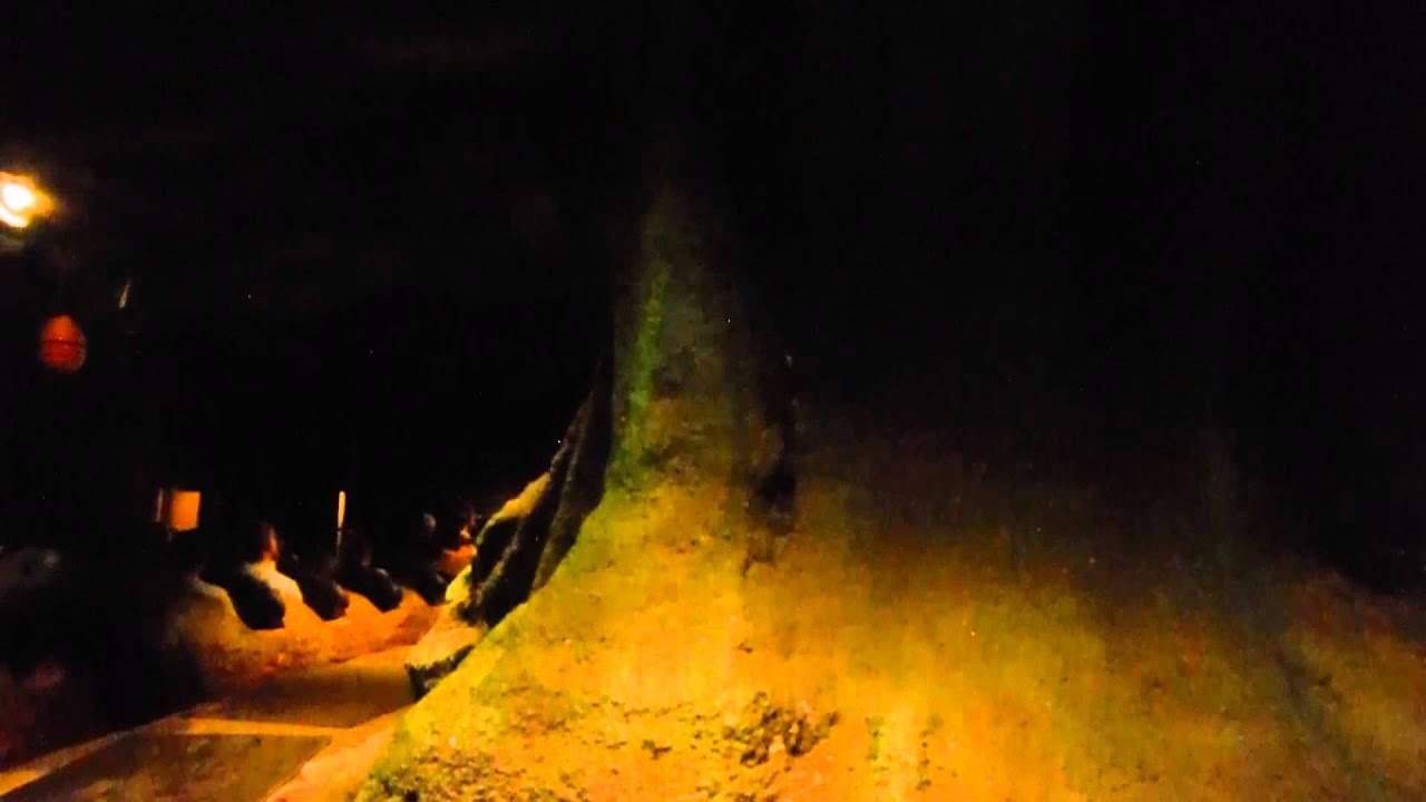 Splash Mountain Evacuation - Pt 2: Lights On