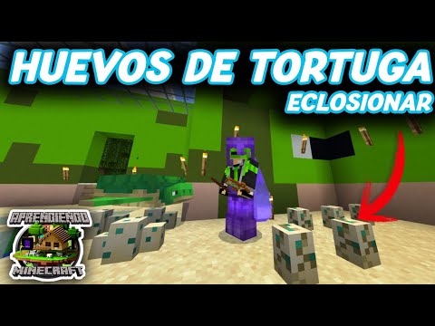 HUEVOS DE TORTUGA COMO ECLOSIONARLOS - APRENDIENDO MINECRAFT #68 - YouTube