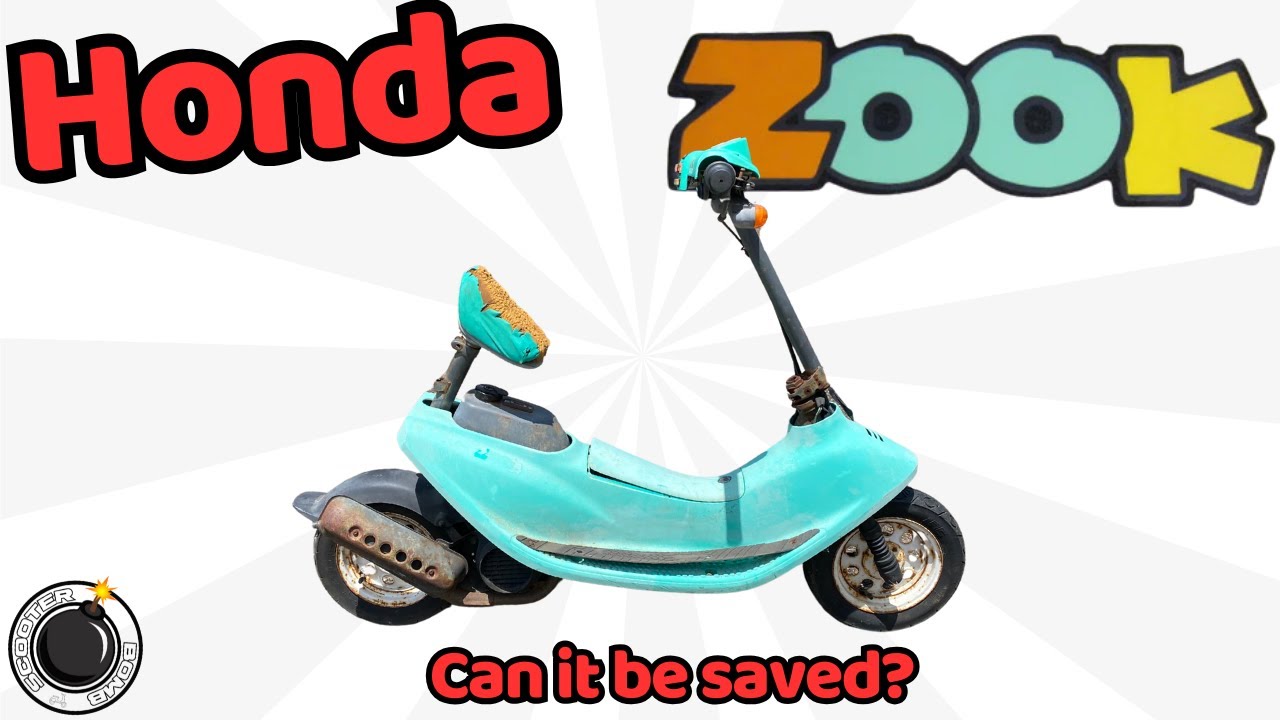 honda zook - YouTube