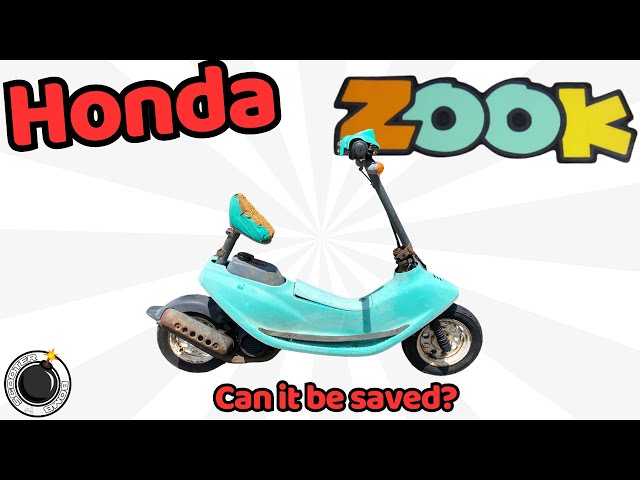 HONDA　ズーク50 1990 JDM Honda Zook 50. Cute little thing. Ref 3410 - YouTube