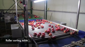 ESHET EILON’S PACKING LINE FOR APPLES