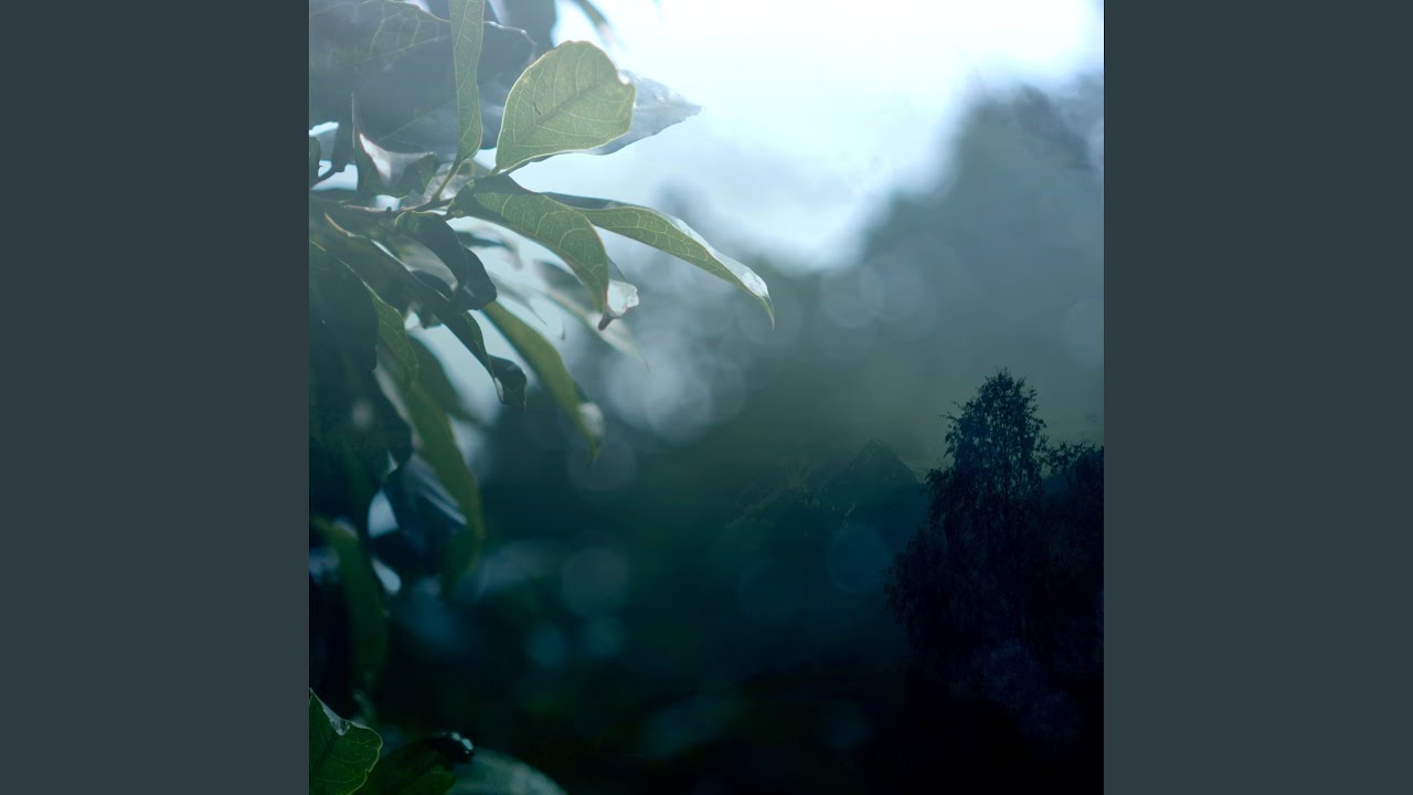 Watch rainforms on YouTube Watch rainforms on YouTube