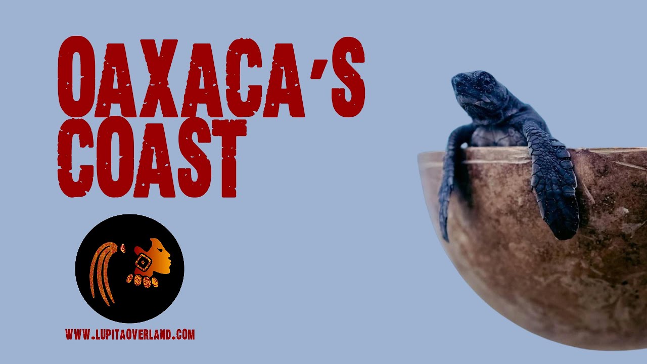 Oaxaca's Coast
