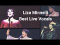 Liza Minnelli - Best Live Performances