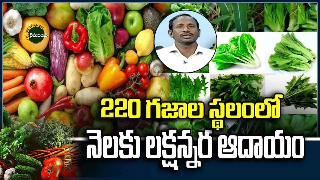 Innovative Methods In Growing Vegetables  Farming by Farming By Ramesh  | Rythu Bandhu