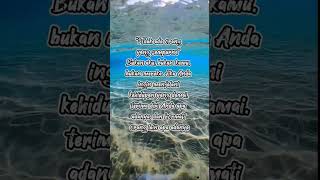 Tidak ada orang yang sempurna..!! #inspirasi #quotes #shorts