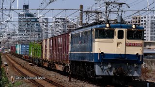2025年8/29 1091レ EF65 2090(代走)+コキ