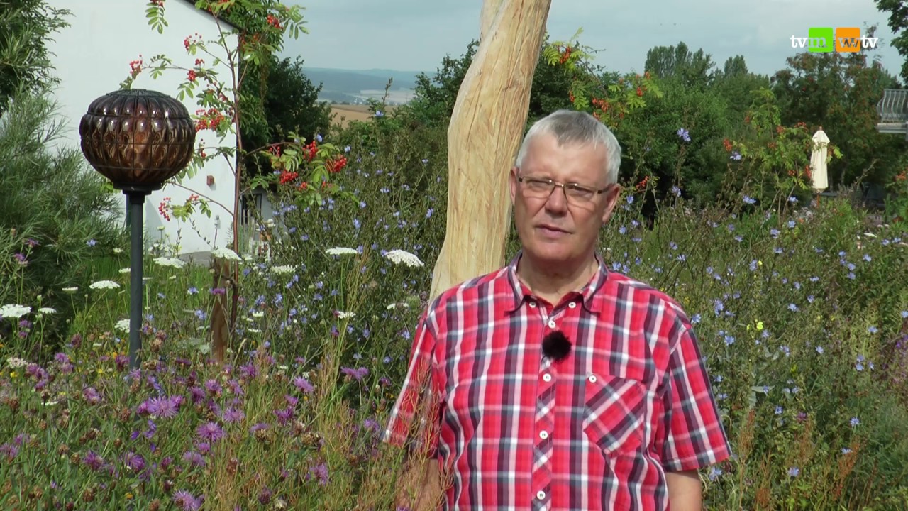 584 - Route der Welterbegärten: Naturgarten Knecht in Weisel