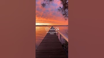 تلاوة جميلة لشيخ عمير الشميم سورة الفرقان 😍🥰 #القرآن_الكريم #explore