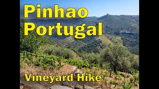 Download lagu Pinhao Portugal   Vinyard Hike 2024