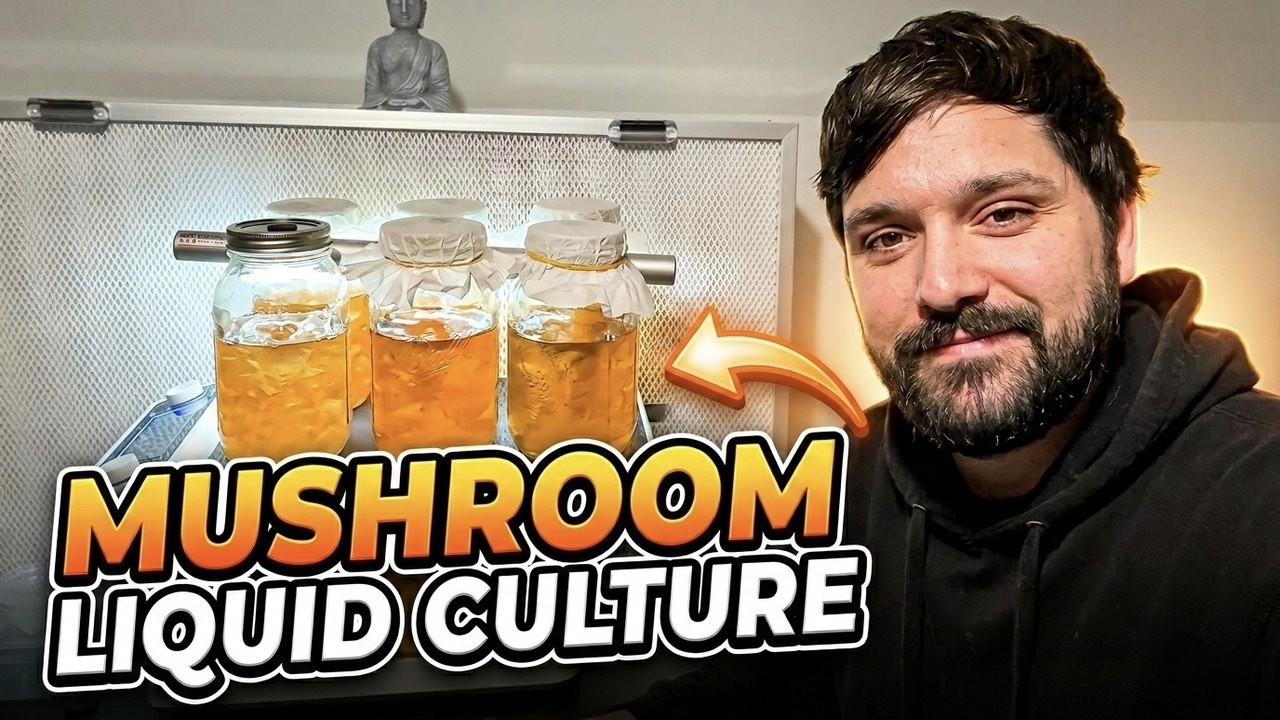 Hundreds of Liquid Culture Jars — Things I’ve Been Noticing