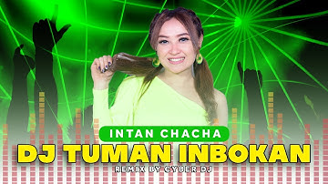 DJ Tuman Inbokan - Intan Chacha | DJ REMIX TIKTOK (Official Audio Visulaizer)