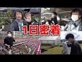 【一日密着】4000坪の園芸店の貴重な仕入れ事情を極秘公開【カーメン君】【園芸】【ガーデニング】【園芸初心者】【シクラメン】