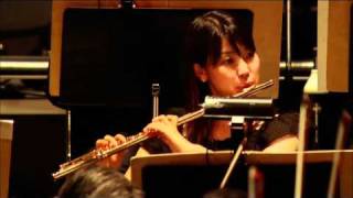 Joe Hisaishi in Budokan - Studio Ghibli 25 Years Concert (BluRay, 1080P)