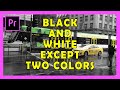 How to make Black and White video Except Two Colors in Adobe Premiere Pro 2019