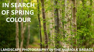 LANDSCAPE PHOTOGRAPHY in the NORFOLK BROADS - shooting spring colour