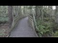 Shingle Creek State Park - sixty seconds through the  trail.