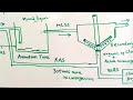 Activated Sludge Process in STP || RAS || WAS || Attached Growth System || MBBR ||  Tamil