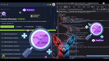 TryHackMe Content Discovery - Full Walkthrough 2025