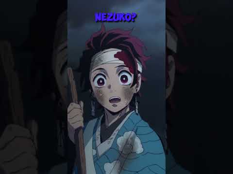 Nezuko's Deadly Hug | Demon Slayer Abridged Shorts