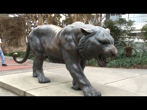 LSU: Behind the Fee Bill