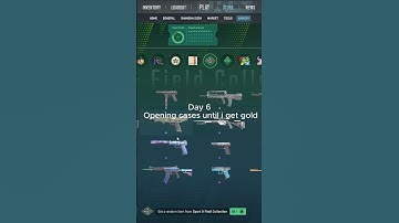Day 6  Opening cases until i get gold