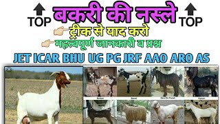 बकरी की नस्ल -ट्रिक || Goat breeds || पशुपालन सम्बंधीत महत्वपूर्ण जानकारी