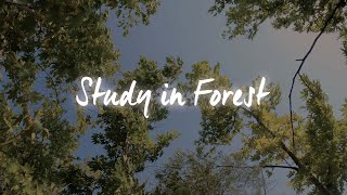 Study in Forest -  relax work study sleep