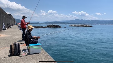 Vượt hơn trăm cây số từ Osaka đến Wakayama để câu cá và cái kết