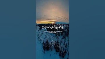 سورة الرحمن | القارئ فارس عباد قران كريم أرح قلبك حالات واتس أب ❣