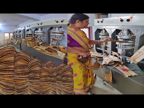 HOW? Areca Leaf Plates are made?(English Subtitles) | Disposable & Bio-Degradable | Factory