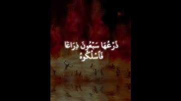 سوره الحاقة آيه 28-33 للقارئ محمد اللحيدان #سورة_الحاقة #اللحيدان #القرآن_الكريم #استغفر_الله