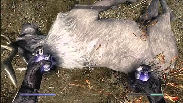 SKYRIM Power Leveling - Conjuration | Vizo