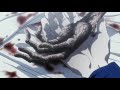 Hunter x Hunter Hyori Ittai AMV