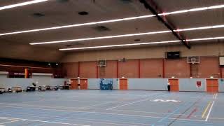 2017 IIFI Nijmegen, Pfalz D.XII, F4D