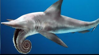 13 Terrifying Sharks That Actually Exist