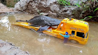 SIMULASI MOBIL TRUK TRONTON - IKAN RENANG - LOADER BEKO BEKERJA DI BAWAH AIR