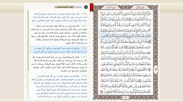 سورة البقرة صفحة (11) بصوت القارئ وديع اليمني قناة يوميا صفحة من القران