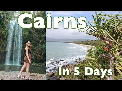 CAIRNS HOLIDAY | Great Barrier Reef, Daintree, Port Douglas, Atherton Tablelands, Kuranda