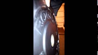 Rogue Echo Bumper Plate Review